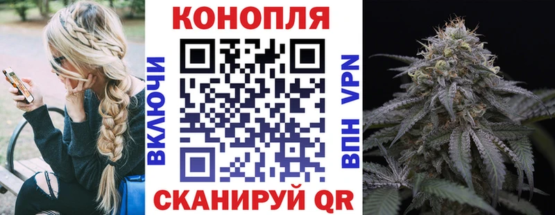 где найти   Хадыженск  кракен маркетплейс  Бошки Шишки Amnesia 